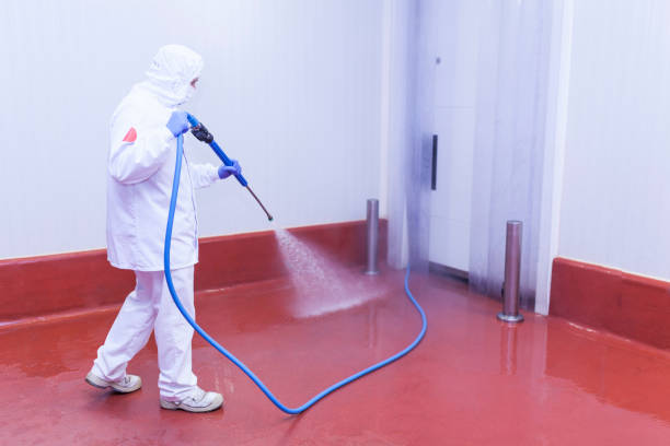 Best Pre-Holiday Cleaning  in Kingsland, TX