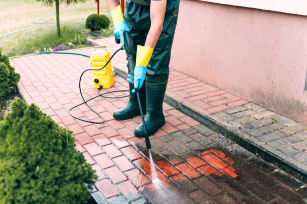 Best Solar Panel Cleaning  in Kingsland, TX